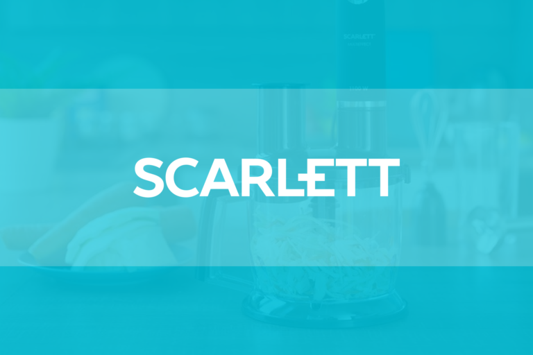 SCARLETT: Success in Omni-Channel Sales